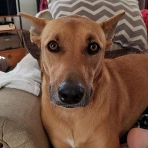 Meet your Posher, Tommy